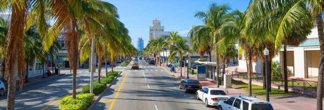 Palmen an Küstenstraße in Miami